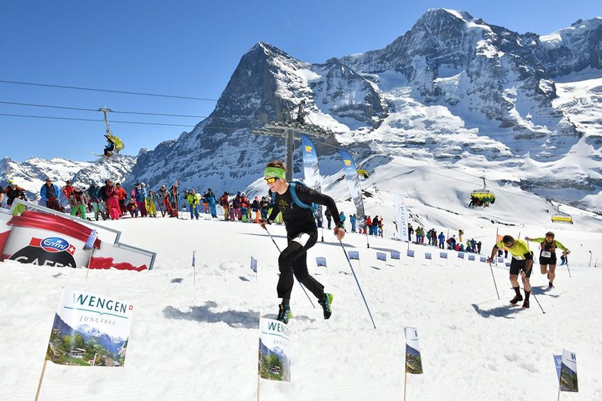 Lauberhorn Run 2019