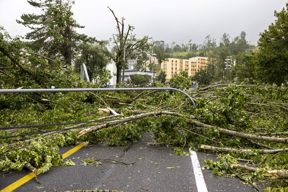 Trees broken pictured on the ground after tornado storm sweeps through the city of La Chaux-de-Fonds, Switzerland, Switzerland, Monday, July 24, 2023. A storm swept across part of the canton of Neucha ...