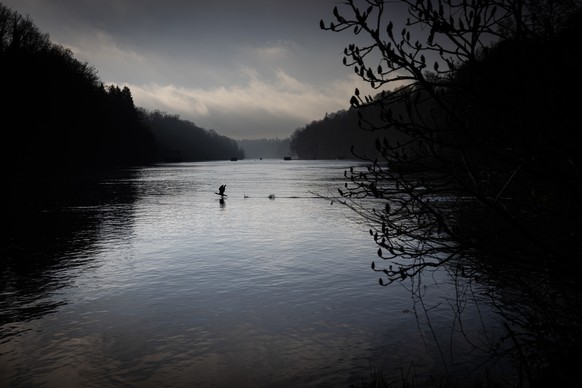 Der Rhein bei Jestetten, Deutschland, in der Naehe der alten Zollbruecke von Rheinau, Schweiz, aufgenommen am, Dienstag, 19. Dezember 2023 in Jestetten, Deutschland. Die Staatsanwaltschaft wirft einem ...