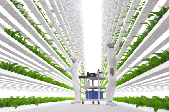 vertical farming