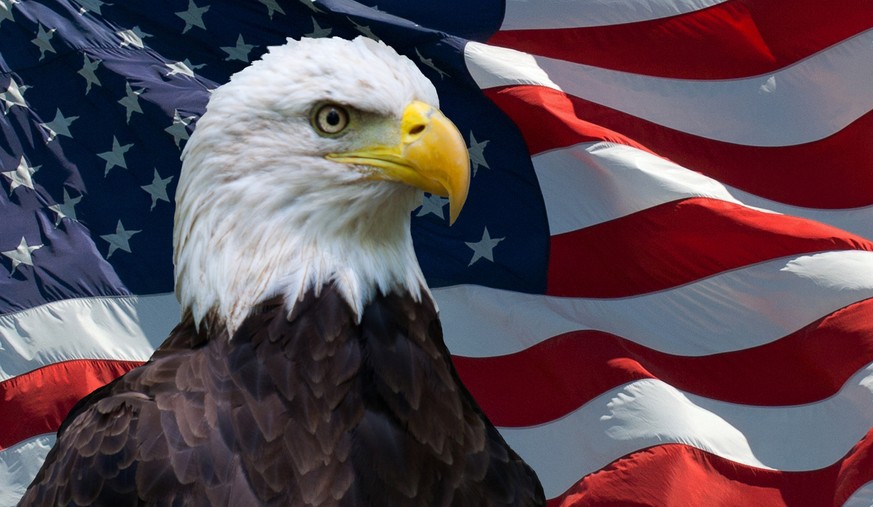 Selbst das amerikanische Wappentier ist vor Trump nicht sicher