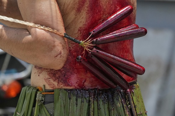 A penitent flagellates himself on Good Friday in Kalayaan town, Laguna province, Philippines, April 18, 2025. (AP Photo/Aaron Favila)
Philippines Holy Week Photo Gallery