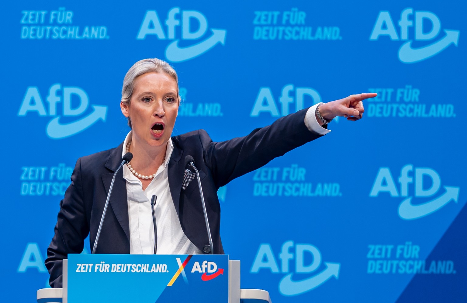 epa11818467 Alternative for Germany (AfD) party and faction co-chairwoman and top candidate for the federal election Alice Weidel delivers a speech as delegates confirm her as the AfD&#039;s chancello ...