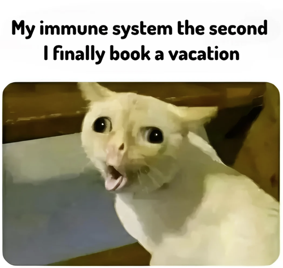 Lustige Memes zu Sommerferien