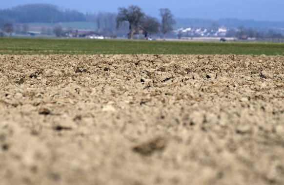 Sicht auf ein ausgetrocknetes Feld, am Sonntag, 5. Maerz 2023, in Uetendorf. In weiten Teilen der Schweiz herrscht nach einem Niederschlagsarmen Winter grosse Trockenheit. (KEYSTONE/Peter Schneider)