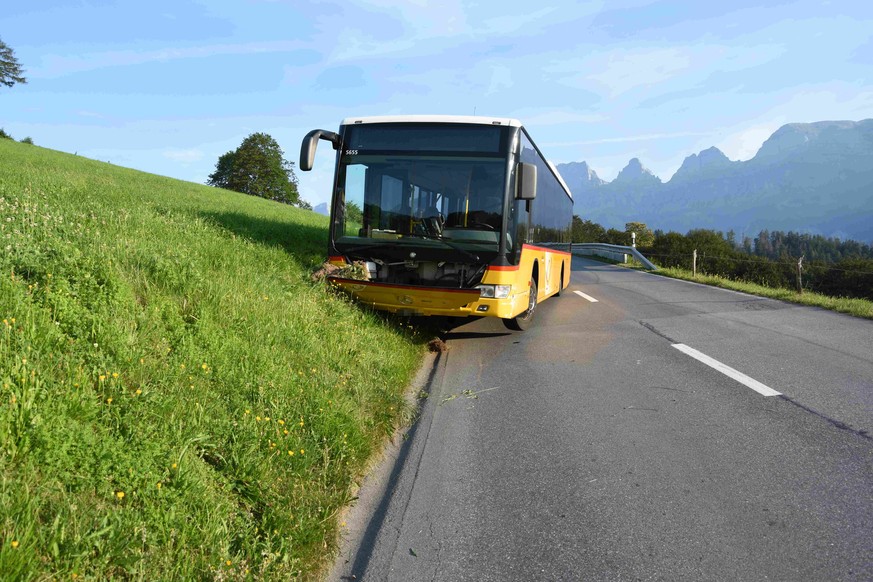 Die Strasse nach Flums musste kurzzeitig gesperrt werden.