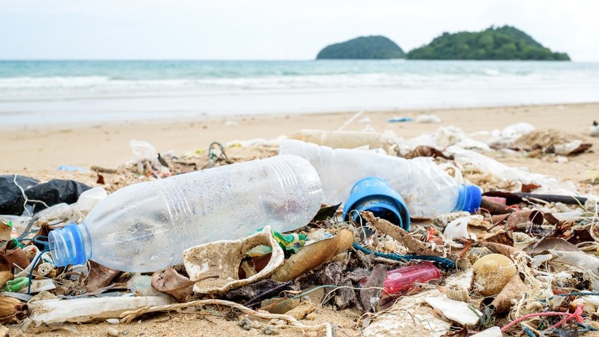 Plastic waste worries Swiss people – especially in the sea Plastic waste worries Swiss people – especially in the sea