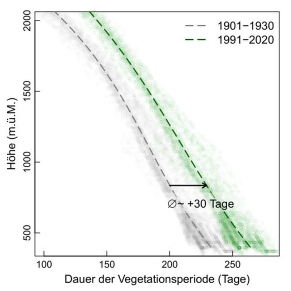 Höhenabhängigkeit der Dauer der thermischen Vegetationsperiode zu Beginn des letzten Jahrhunderts (1901–1930; grau) und unter aktuellen Klimaverhältnissen (1991–2020; grün).
https://www.agrarforschung ...
