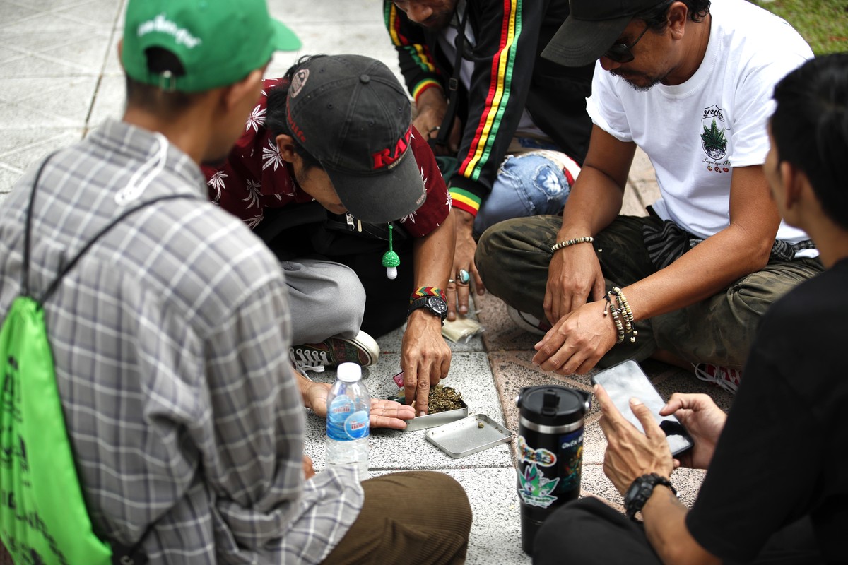 epa11399372 Pro-cannabis advocates prepare marijuana for smoke during a demonstration to oppose the government's reclassification of marijuana as a narcotic, near the Government House in Bangkok, ...