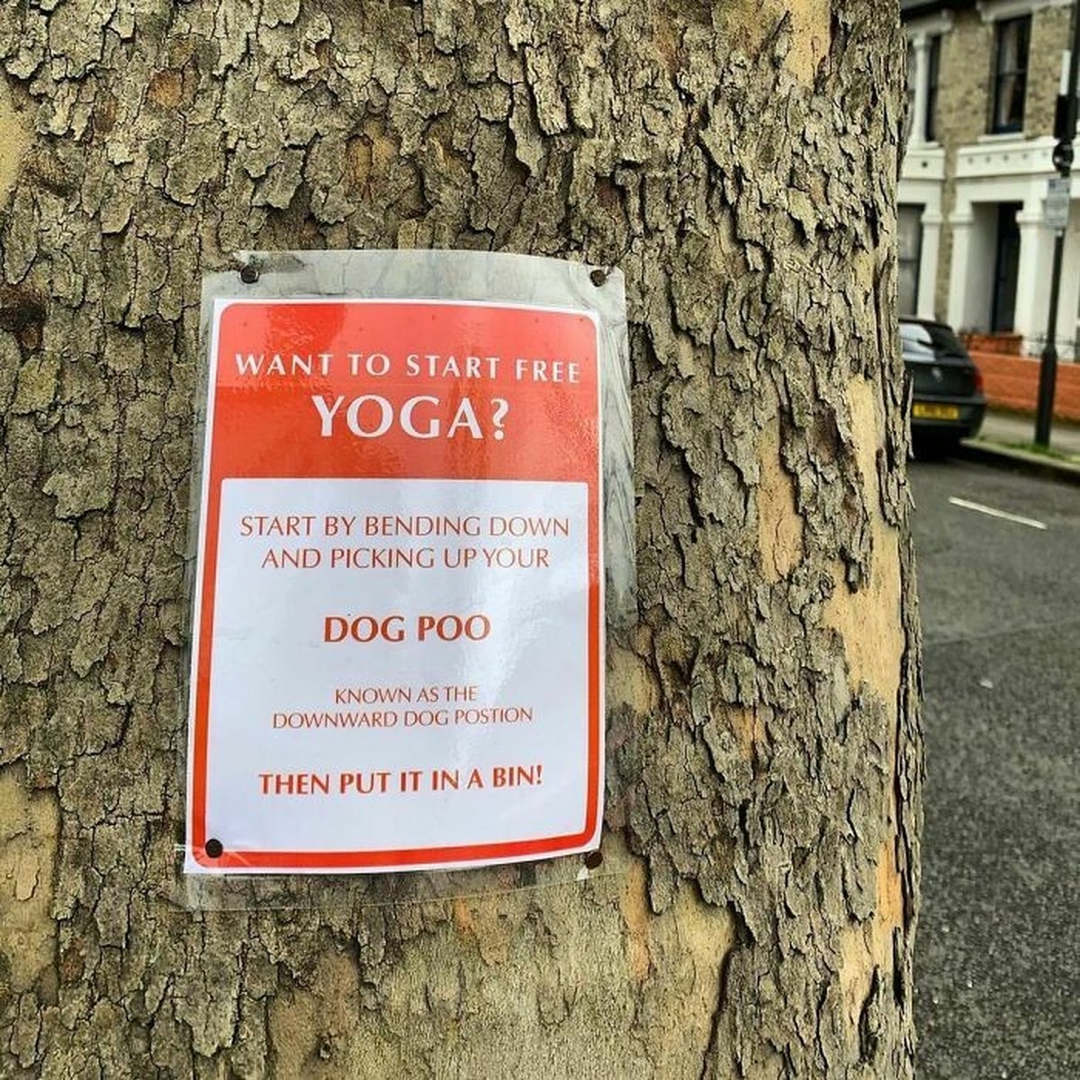 Passiv-aggressives Schild zum Hundehaufen auflesen