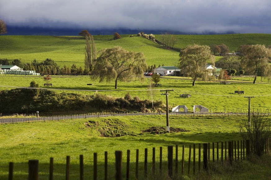 A green farm in spring in the Southern Island, New Zealand
