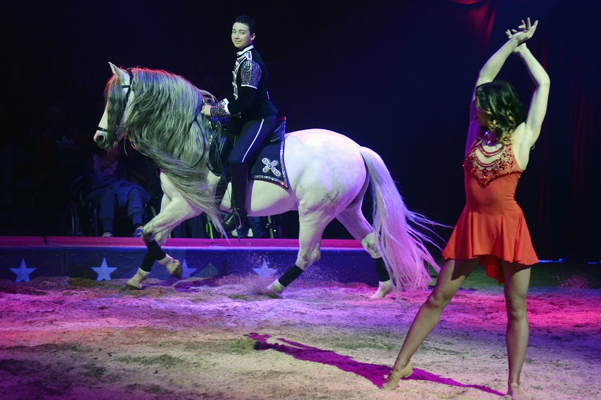 Ivan Frederic Knie mit seiner Nummer an der Generalprobe des Circus Knie in Rapperswil (SZ) am Donnerstag, 26. Maerz 2015. Zum 97. Mal praesentiert die Familie Knie ein neues Programm mit Tiernummern, ...