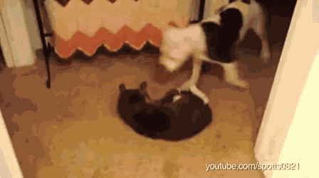 Animiertes GIF