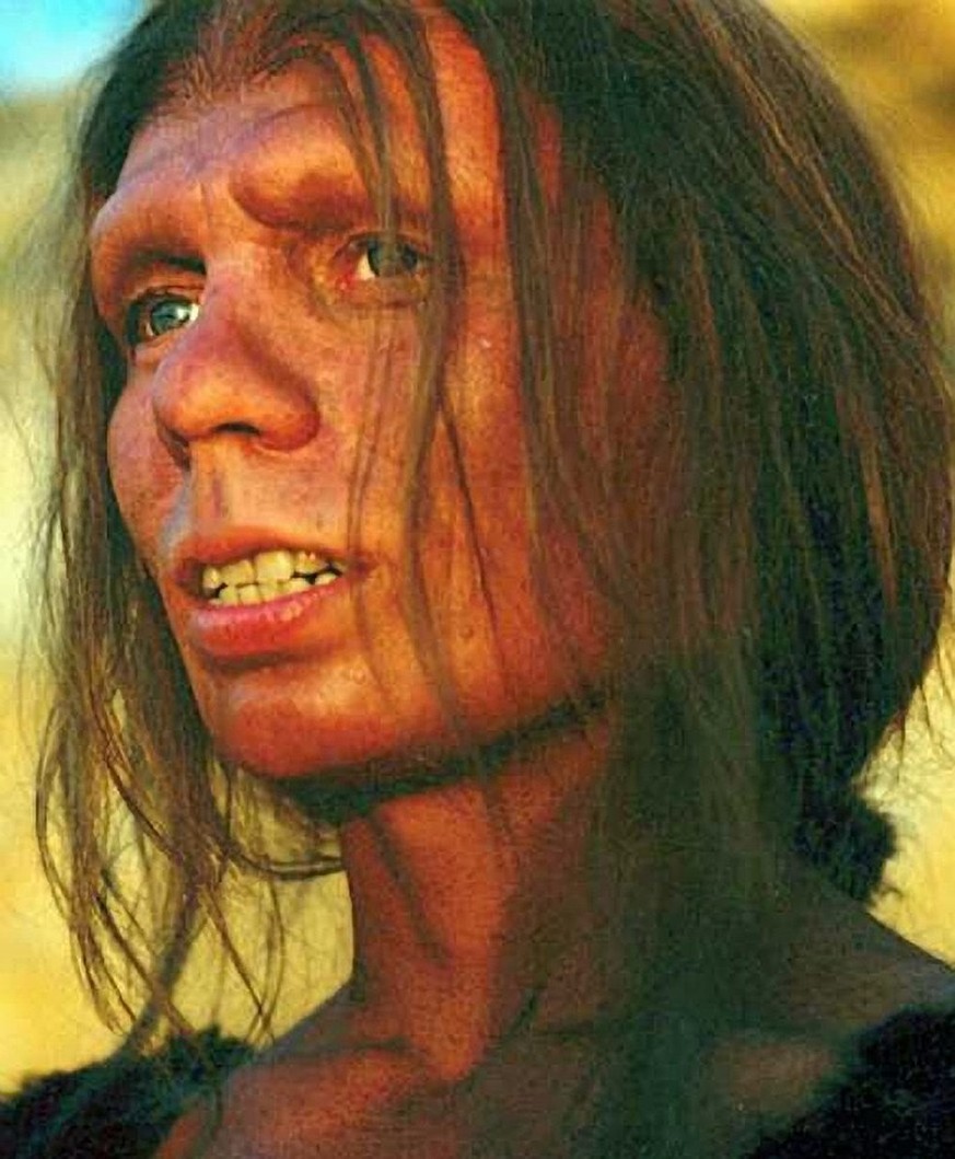 Rekonstruktion einer jungen Neandertalerin
https://commons.wikimedia.org/w/index.php?curid=78873692