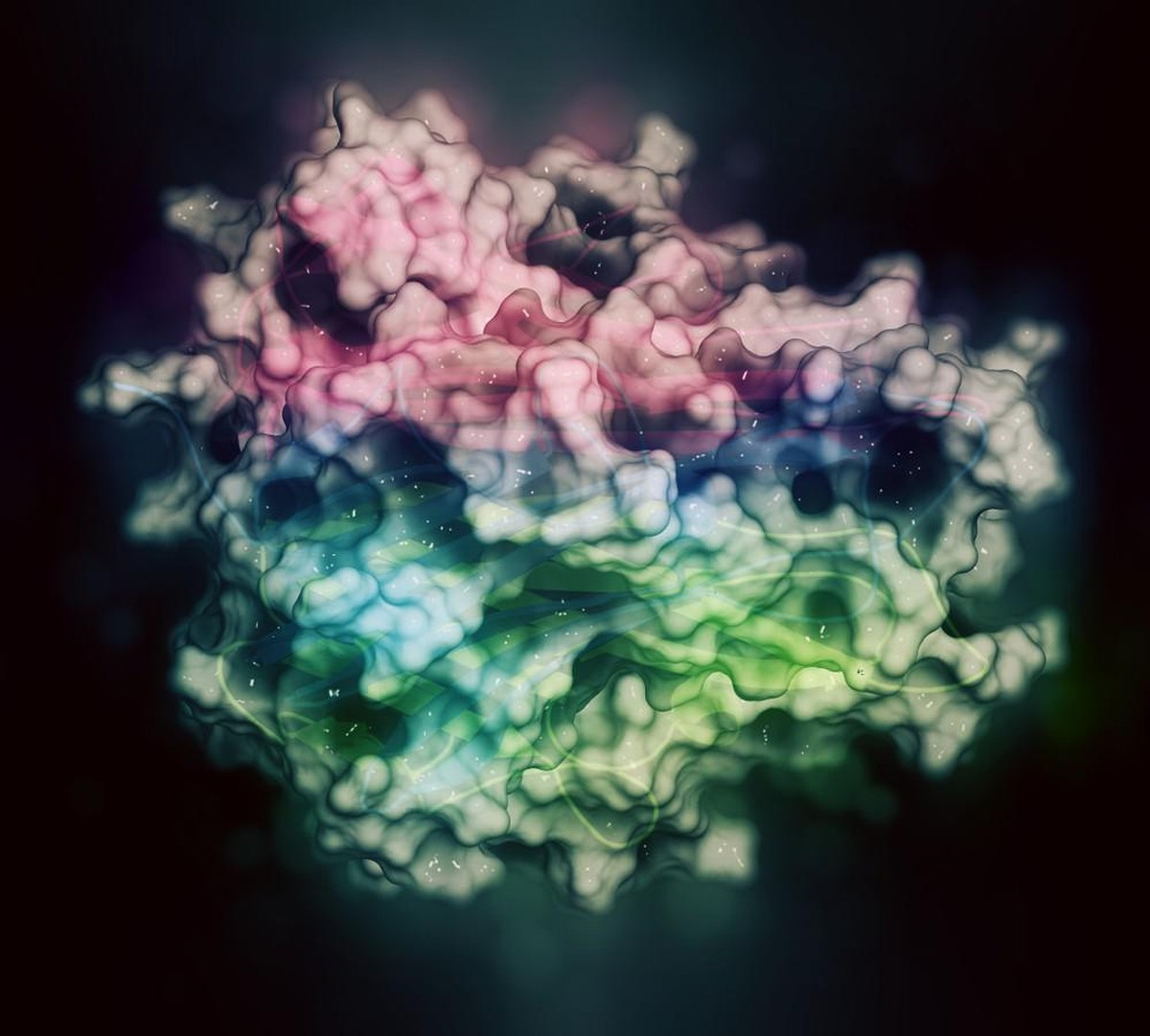 Tumor necrosis factor alpha (TNF) cytokine protein molecule. Clinically used inhibitors include infliximab, adalimumab, certolizumab and etanercept. 3D rendering.