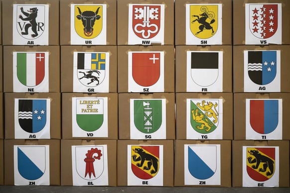 Die Schachteln mit den gesammelten Unterschriften, bei der Einreichung der gesammelten Unterschriften fuer ein Referendum gegen das Zivildienstgesetz bei der Bundeskanzlei, am Donnerstag, 15. Januar 2 ...