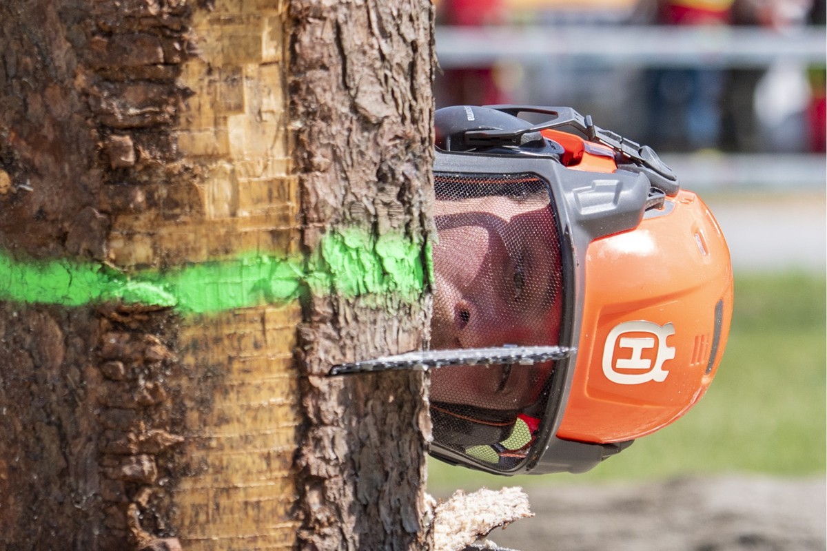 epa10670583 A woodcutter cuts down a tree trunk during the 1st Central Switzerland Lumberjack Competition in Melchtal, canton of Obwalden, Switzerland, 03 June 2023. The contestants competed in five d ...