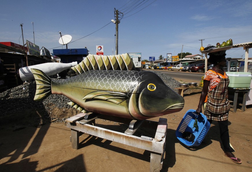 A street vendor passes a coffin made in the shape of a fish at the workshop of Kane Kwei in the Teshi area of Accra, May 16, 2013. From fish-shaped coffins to slaughtered bulls, funerals in Africa are ...