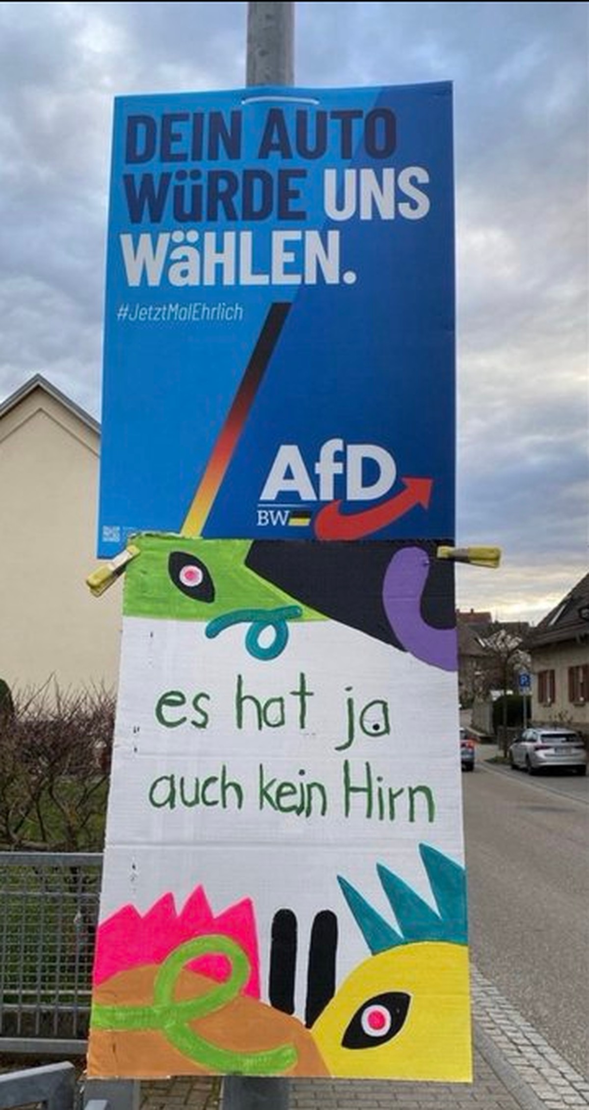 Bild