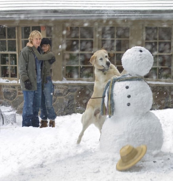 Jennifer Aniston, Owen Wilson, and Rudy in Marley &amp; ich (2008)