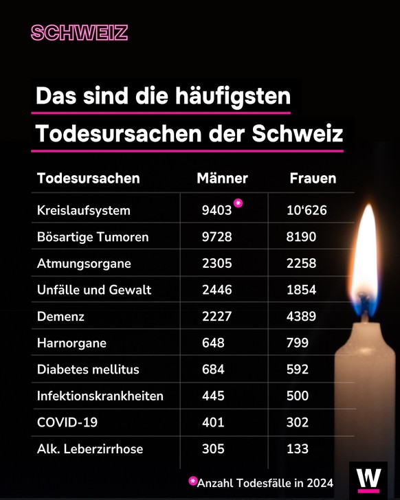 <p>Zu den häufigsten Todesursachen gehören Probleme mit dem Kreislaufsystem.</p>