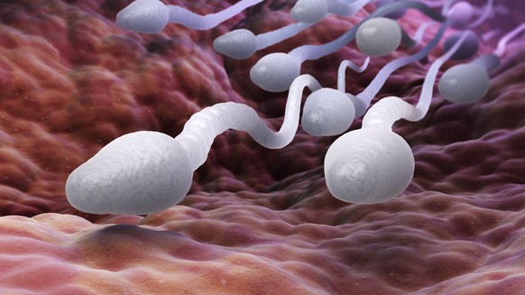Swiss research: The more often a man uses his mobile phone, the less sperm he has
