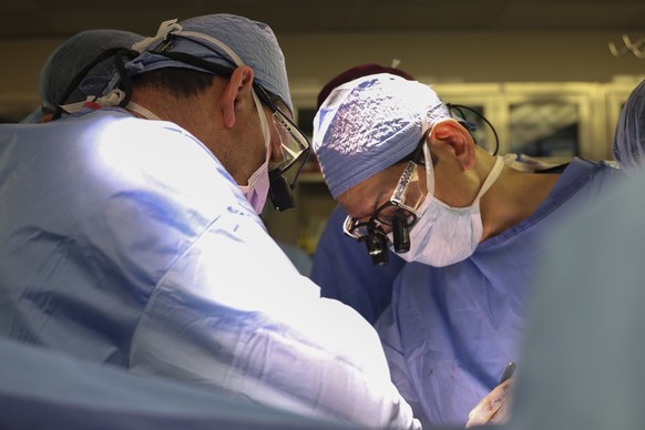 Massachusetts General Hospital transplant surgeons Dr. Nahel Elias, left, and Dr. Tatsuo Kawai perform the surgery of a transplanted genetically modified pig kidney into a living human, Saturday, Marc ...