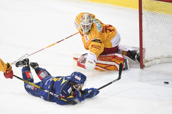 Davos&#039; Mattias Tedenby, unten, trifft zum 5-3 gegen Langnaus Torhueter Ivars Punnenovs, beim Eishockey-Qualifikationsspiel der National League A zwischen dem HC Davos und den SCL Tigers, am Diens ...