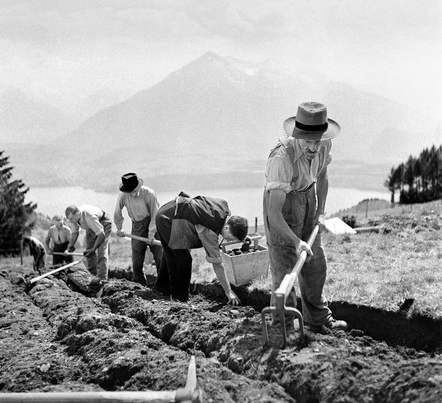 ARCHIVE --- DER PLAN WAHLEN - EIN PROGRAMM ZUR FOERDERUNG DER SCHWEIZER LANDWIRTSCHAFT  WURDE AM 15. NOVEMBER IM KRIEGSJAHR 1940 DER BREITEREN OEFFENTLICHKEIT VORGESTELLT. UM EINER DROHENDEN NAHRUNGS ...