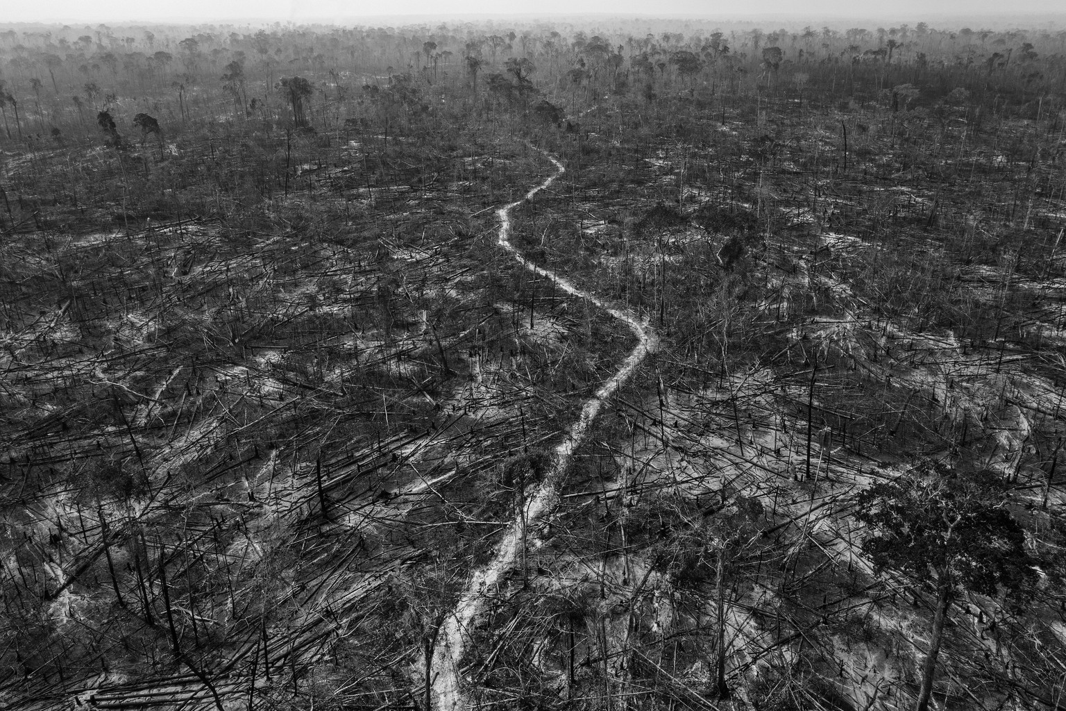 Abgeholzter Regenwald im Amazonasgebiet, Brasilien. 