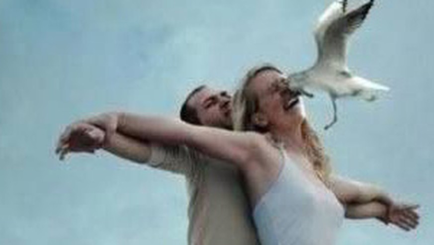 42 Beweise, dass Tiere es lieben, unsere Fotos zu ruinieren