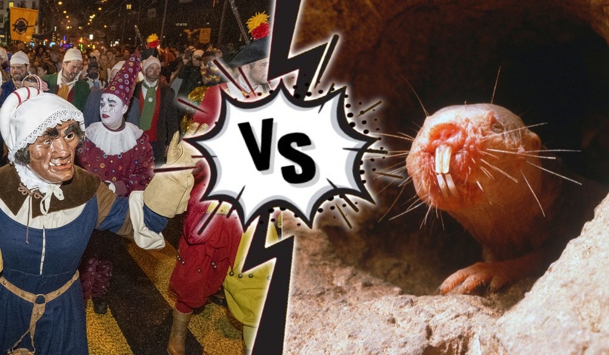Fasnacht vs. Nacktmull