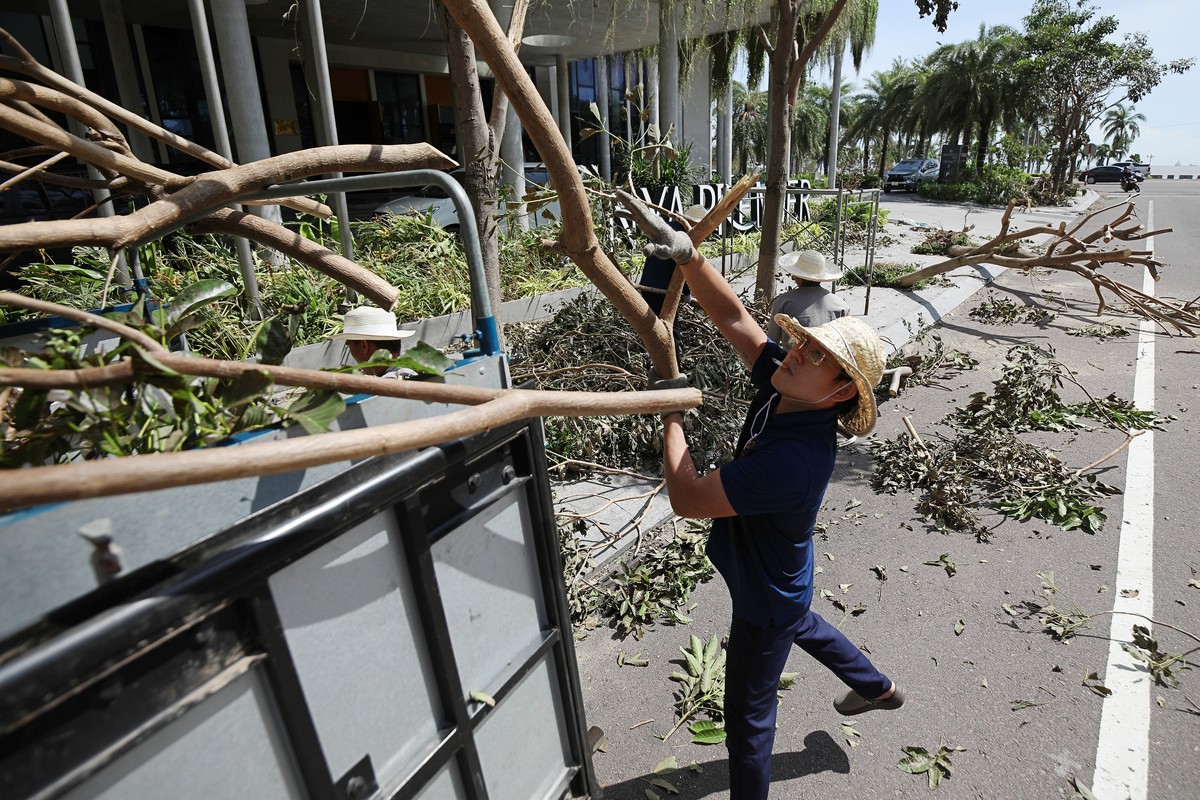 epaselect epa12511620 A resident clears fallen trees damaged by Typhoon Kalmaegi in Quy Nhon, Gia Lai Province, central Vietnam, 08 November 2025. At least five people were killed after the typhoon st ...