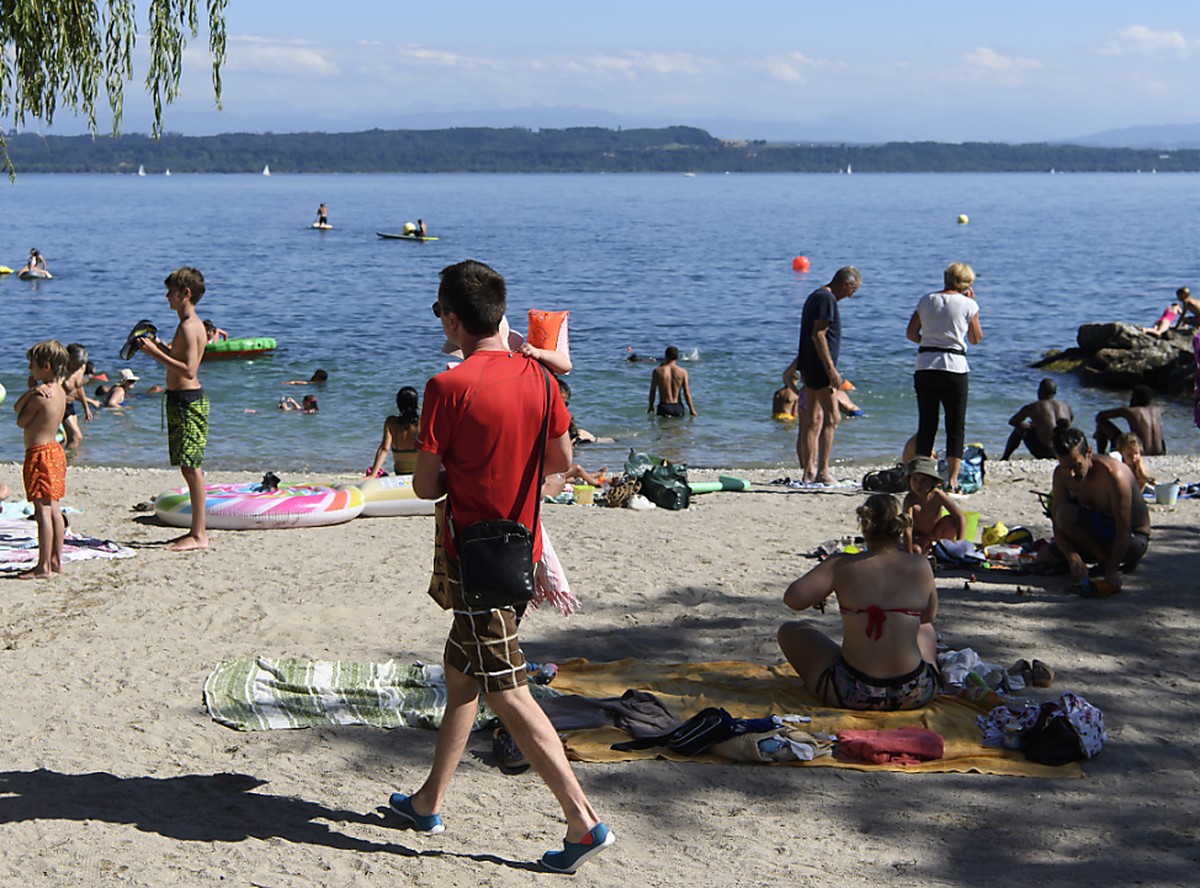 Nachdem sich sechs Hunde am Neuenburgersee vergiftet haben, haben die Beh