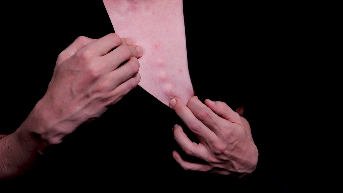 Steve Void modifizierte sich die Brust