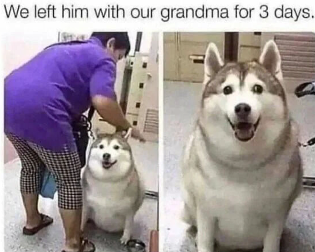 vv