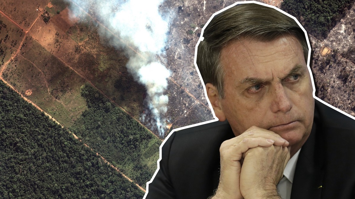 Bolsonaro im Regenwald in Brasilien.