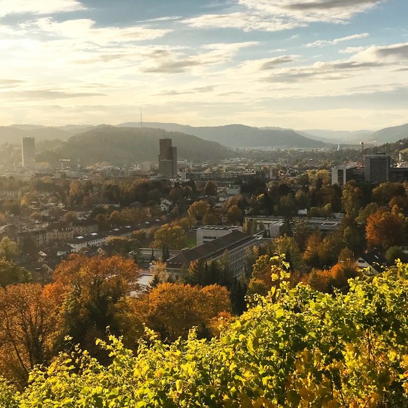 Winterthur Bäumli Goldenberg