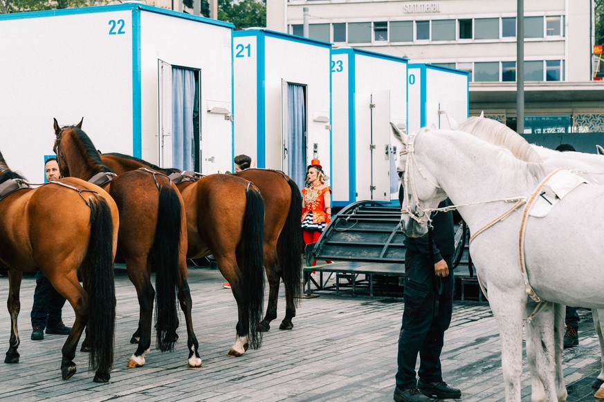 Backstage im Zirkus Knie