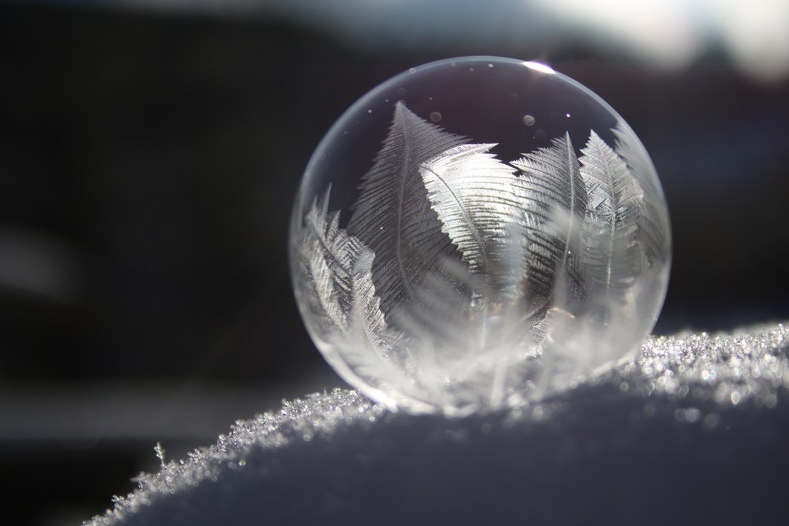 Frozen bubble