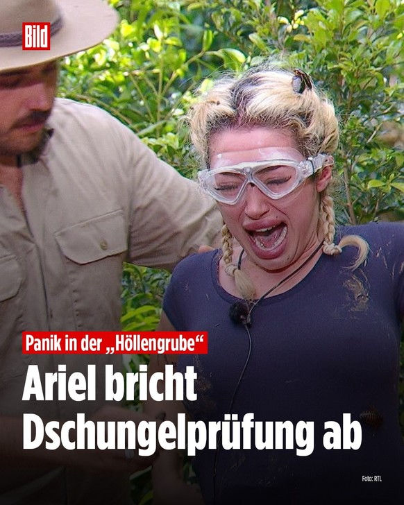 Dschungelcamp 2026: Ariel in den Schlagzeilen
