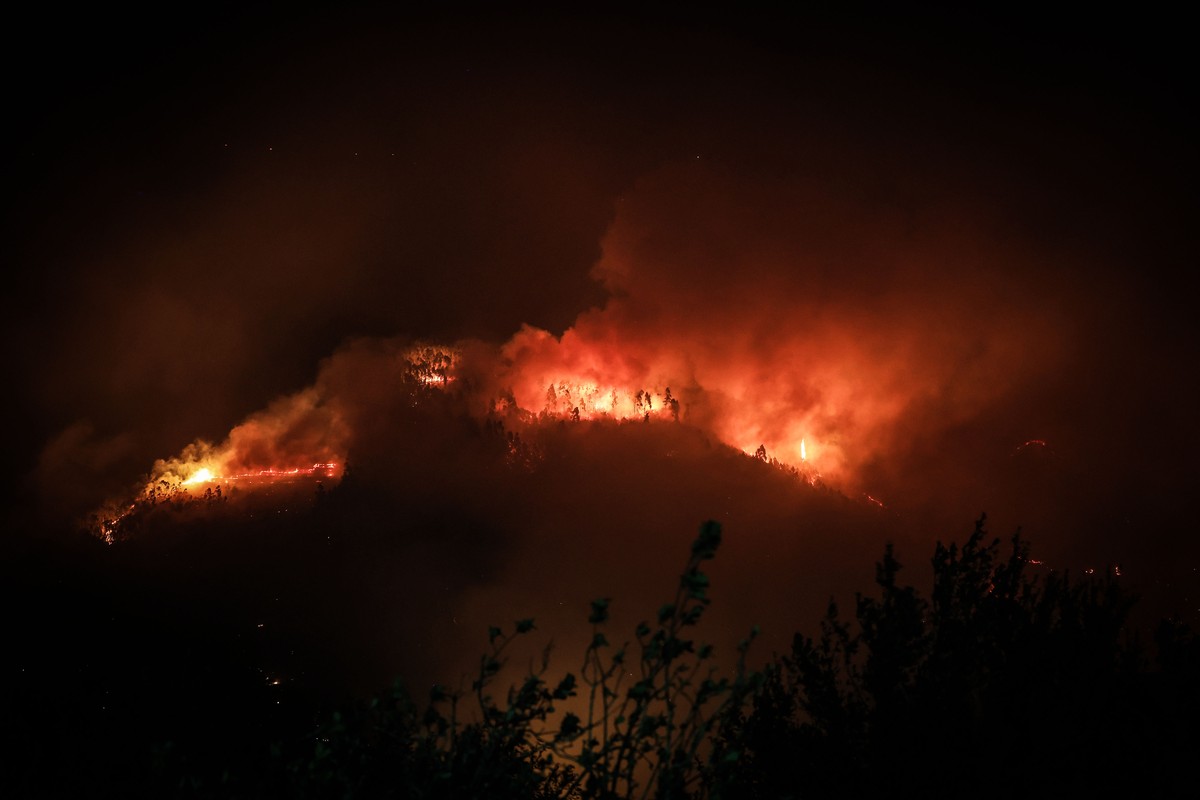 epa11610988 Trees burn in Talhadas, Sever do Vouga, Aveiro, Portugal 18 September 2024. Seven people have died and 40 have been injured, two seriously, in the fires that have been raging since 15 Sept ...