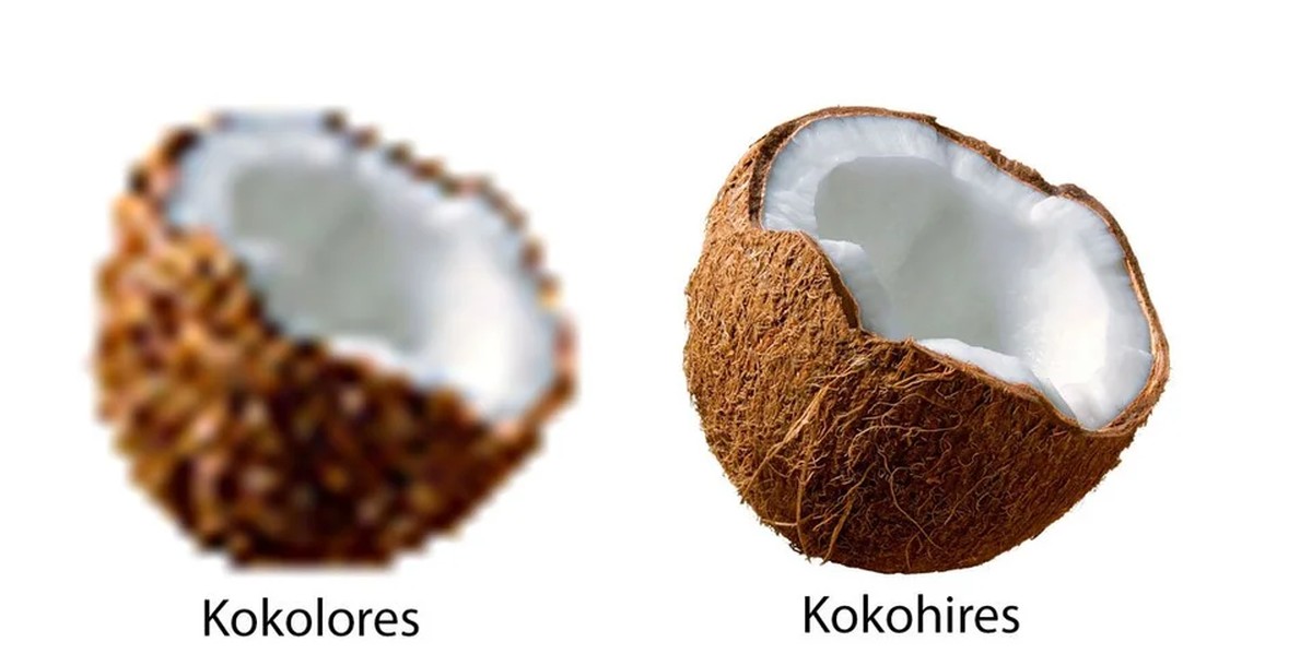 Leute, PICDUMP!В рџ™Џ
рџЊґрџҐҐ