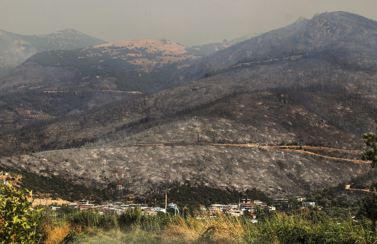 A view shows charred trees and scorched land following a wildfire that swept through the area in Bursa, Turkey, Sunday July 27, 2025. (Sercan Ozkurnazli/DIA Images via AP)
Turkey Wildfires