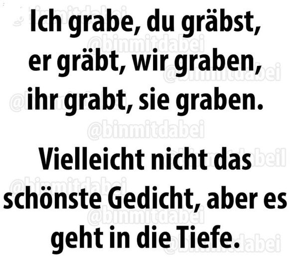 PICDUMP 403 – möge die Geschmacksverstauchung beginnen!\nRosen sind rot, das reimt sich nicht, trotzdem für zwischendurch ein Gedicht.