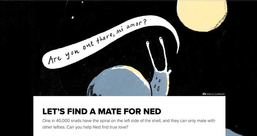 Schnecke Ned sucht einen Partner (Inserat der New Zealand Geographic)