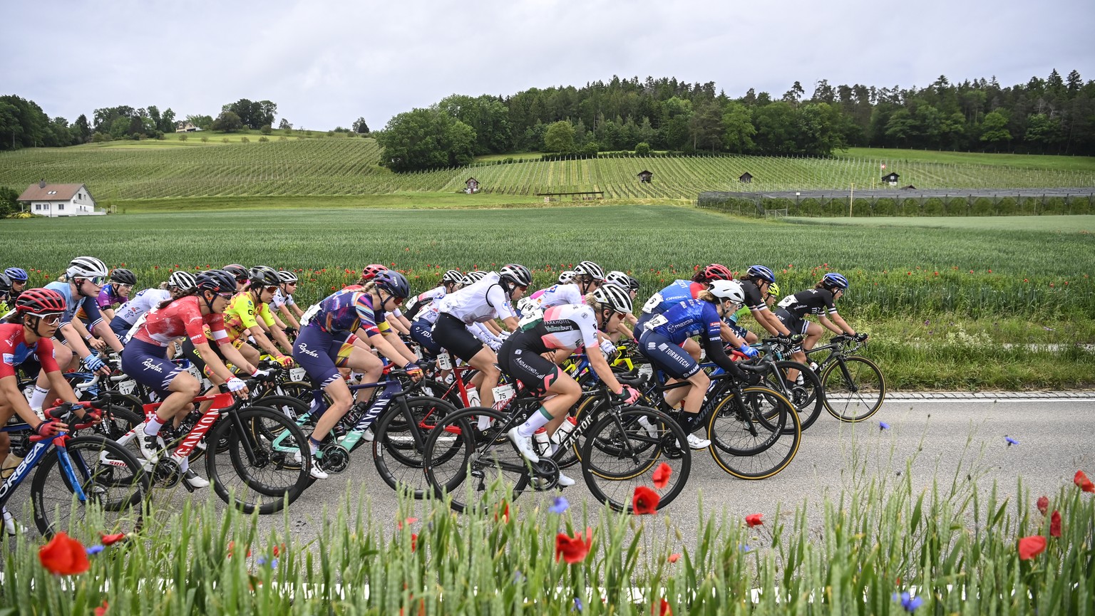 The peloton during the first stage, a 114 km race with start and finish in Frauenfeld, Switzerland, at the 1st Tour de Suisse UCI ProTour cycling women