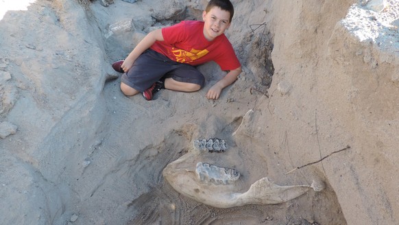 Jude Sparks und der Schädel eines mindestens 1,2 Millionen Jahre alten Stegomastodon.