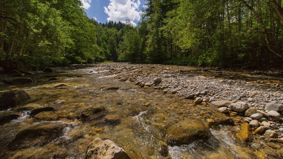Gewässerperlen Schweiz wilde naturnahe Schweizer Flüsse unberührt Flusswanderungen Rauszeit Weissbach