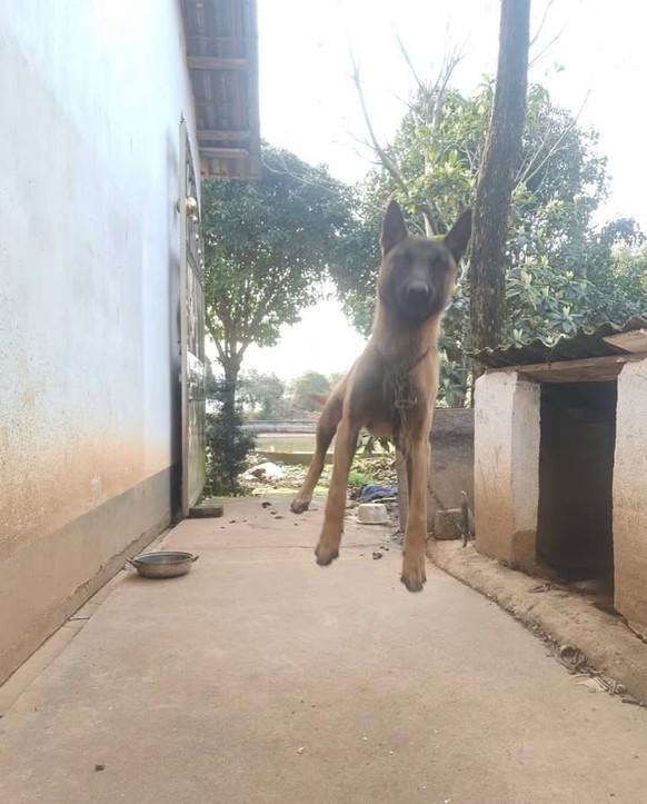 cute news tier hund

https://www.instagram.com/p/DIRAPOBCPfE/?img_index=3